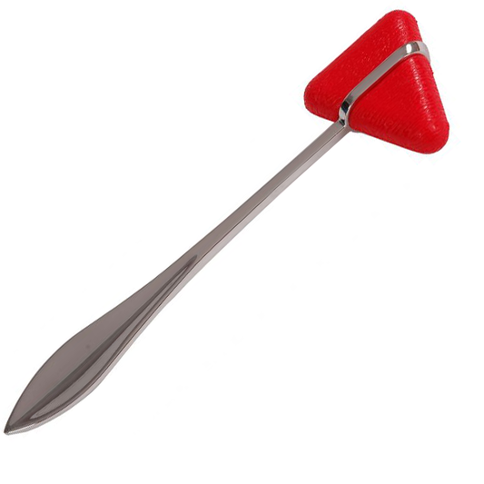 MARTILLO TAYLOR